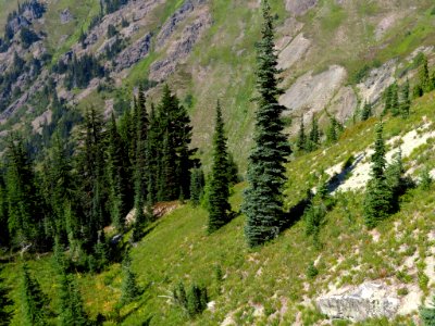 Goat Rocks Wilderness in WA