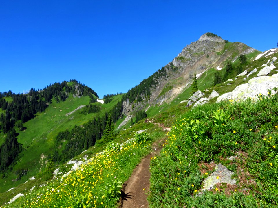 Hidden Lake Trail at North Cascades NP in WA