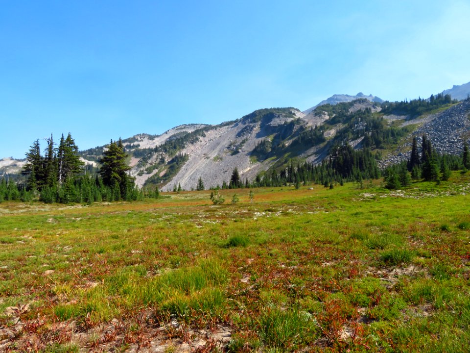 Goat Rocks Wilderness in WA