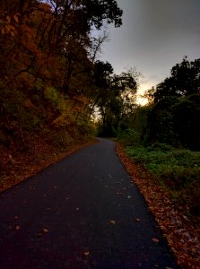 Setting sun at Sodalis Nature Preserve
