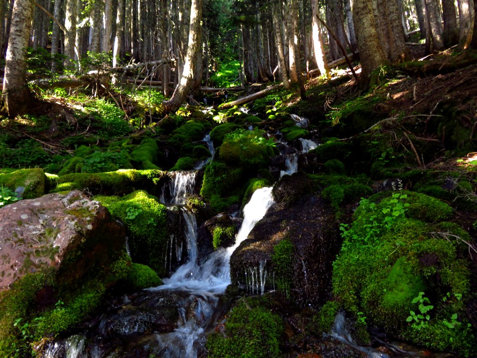 Waterfall at Mt. Rainier NP in WA