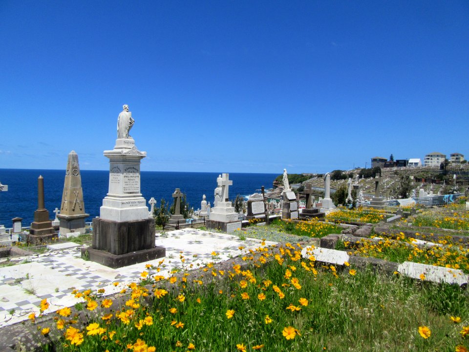 Waverley Cemetery Sydney Australia