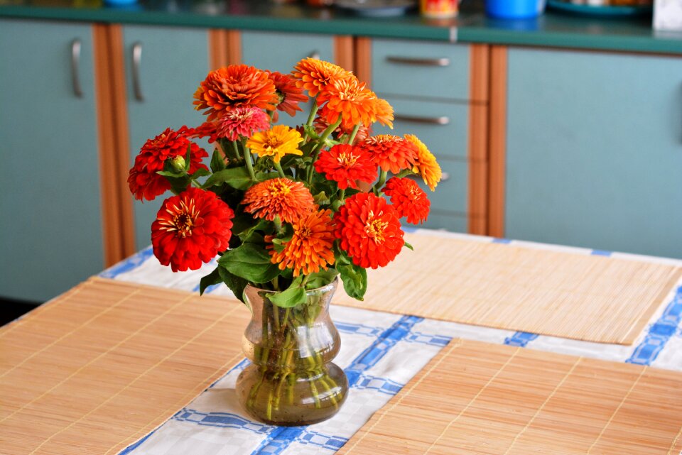 Flowers garden flowers dining table