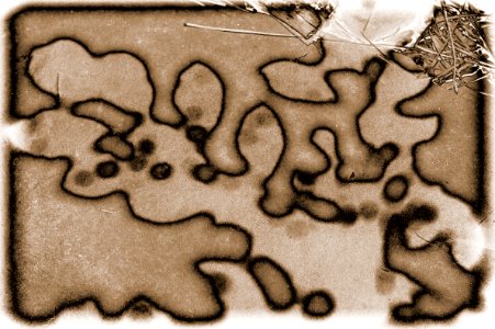 Shadows of a Sunburnt Mind