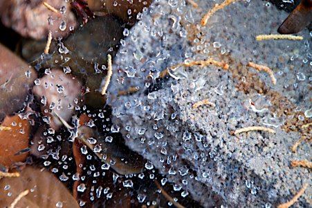 Rain Beads
