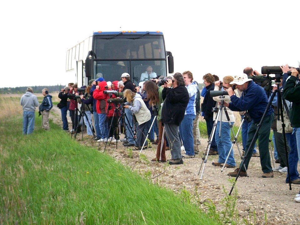 Wildlife Viewing at Agassiz