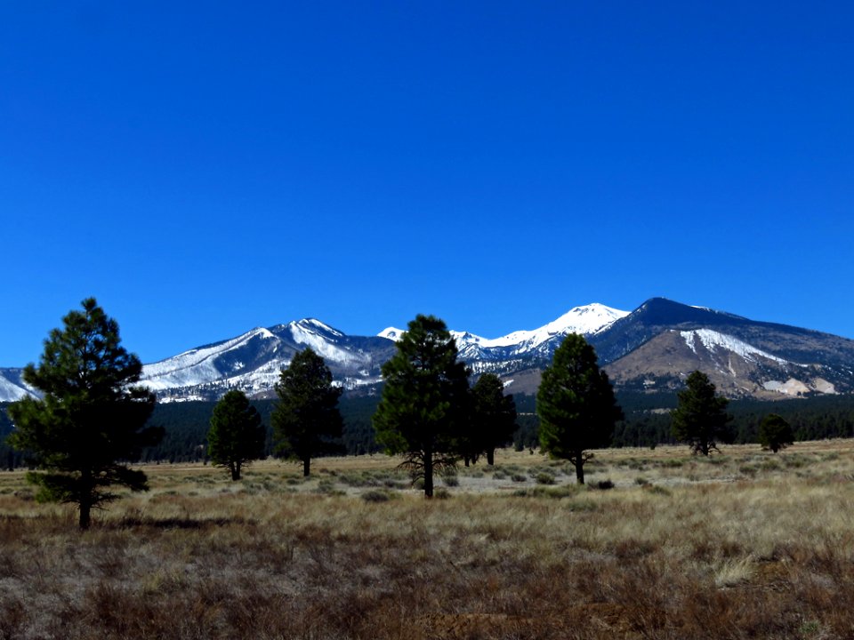 Sunset Crater Volcano NM in AZ