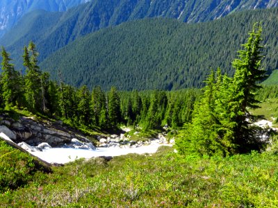 Hidden Lake Trail at North Cascades NP in WA photo