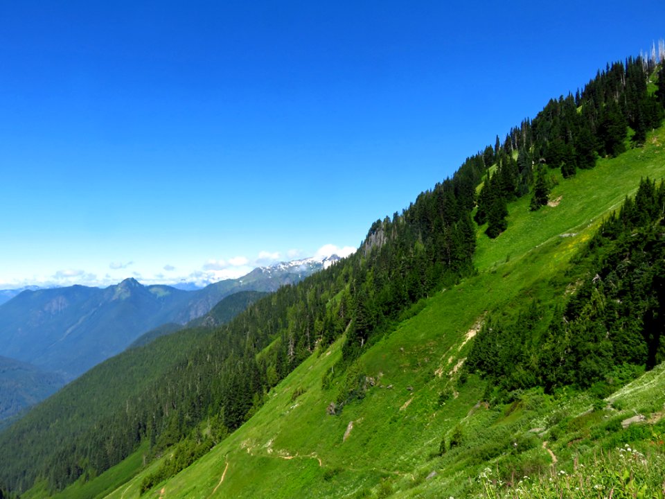Hidden Lake Trail at North Cascades NP in WA