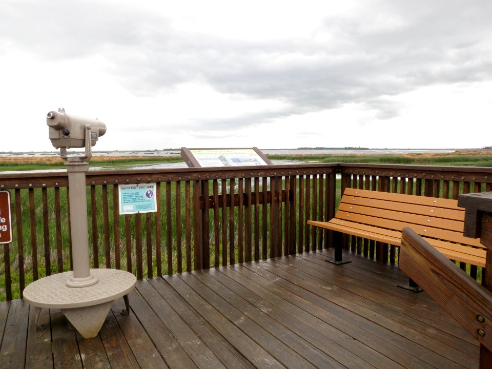 Wildlife Viewing and Interpretation