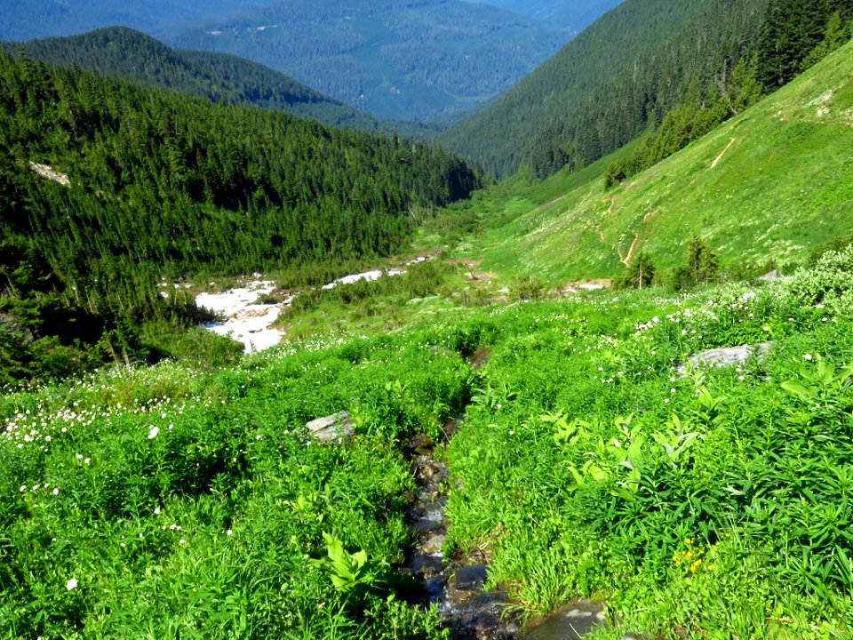 Hidden Lake Trail at North Cascades NP in WA