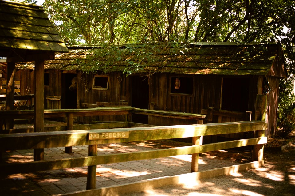 Willowbank Wildlife Reserve