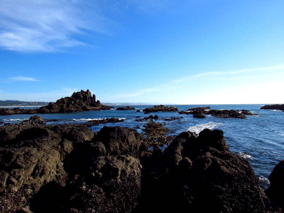 Cobble Beach at Yaquina Head in OR