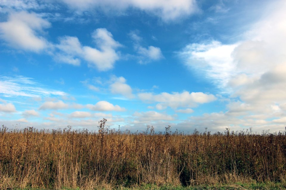 Fall at Neal Smith National Wildlife Refuge in Iowa