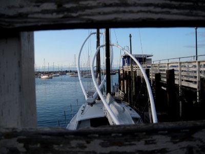 The Marina