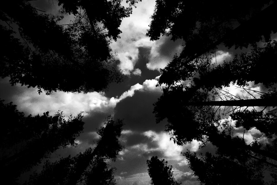 Black and white nature black clouds