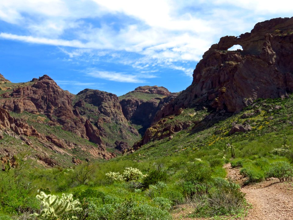 Arch Canyon at Organ Pipe Cactus NM in AZ