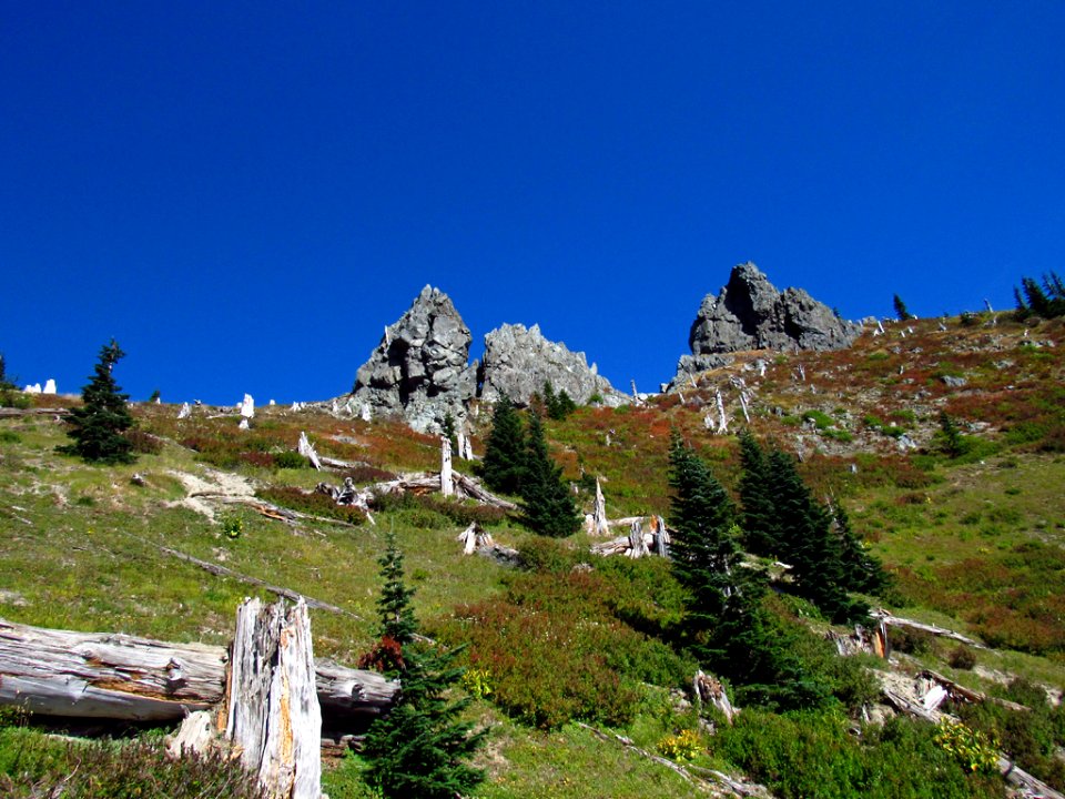Mt. Margaret Backcountry in WA