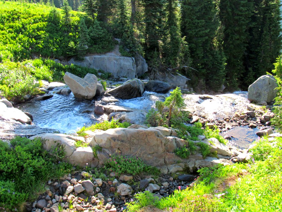 Waterfall at Skyline Trail at Mt. Rainier NP in WA