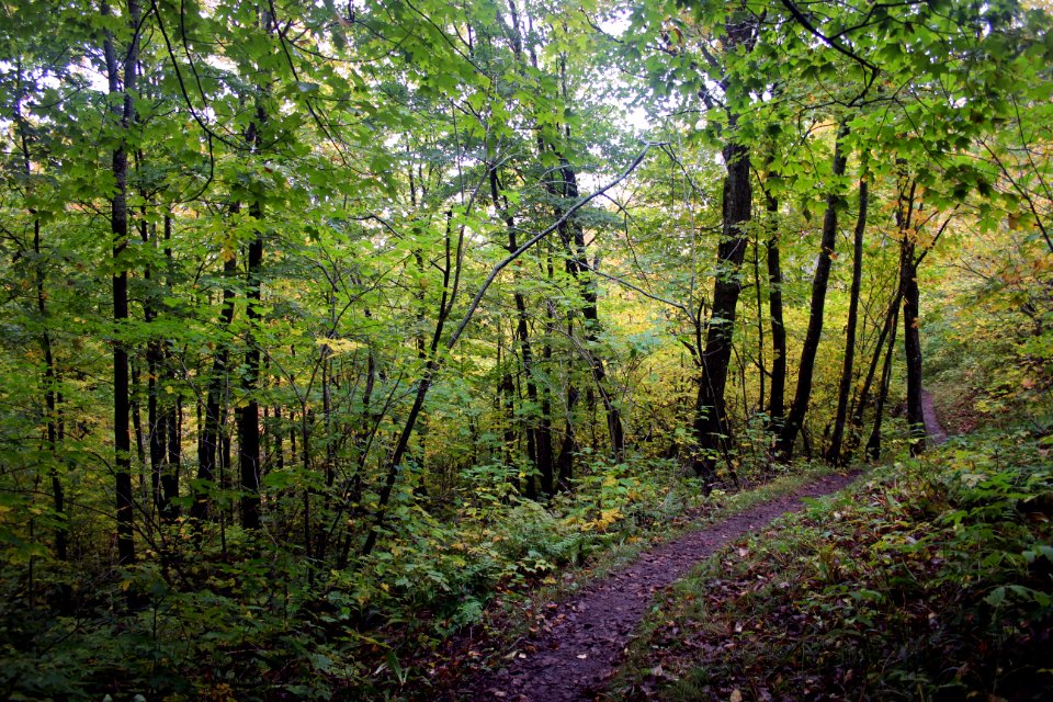 Fall Hiking