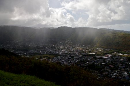 Rain Drapes Manoa