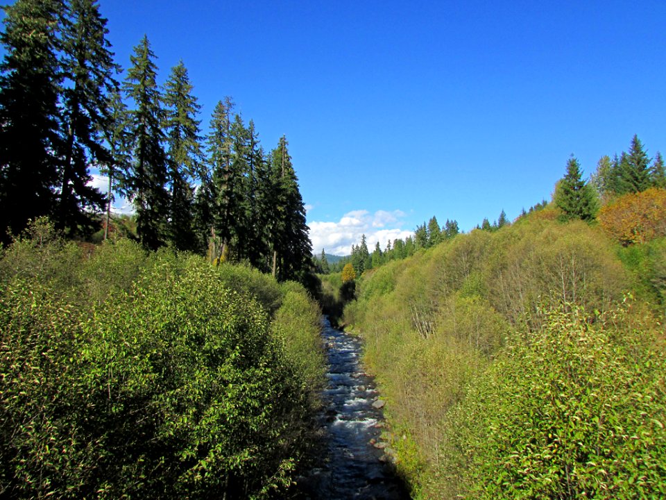 Mt. St. Helens NM in WA