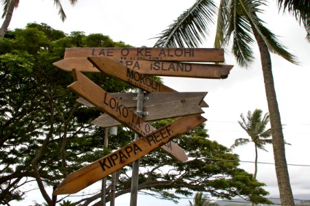 Which Way to Go?