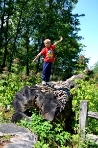 Exploring The Sentinel photo