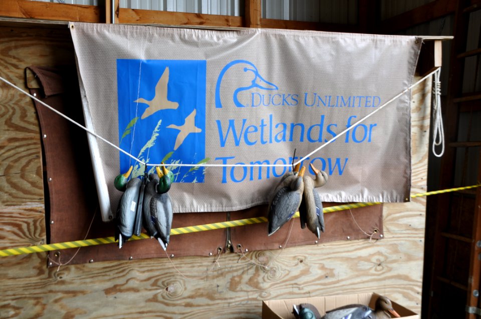 Ducks Unlimited is a Major Partner