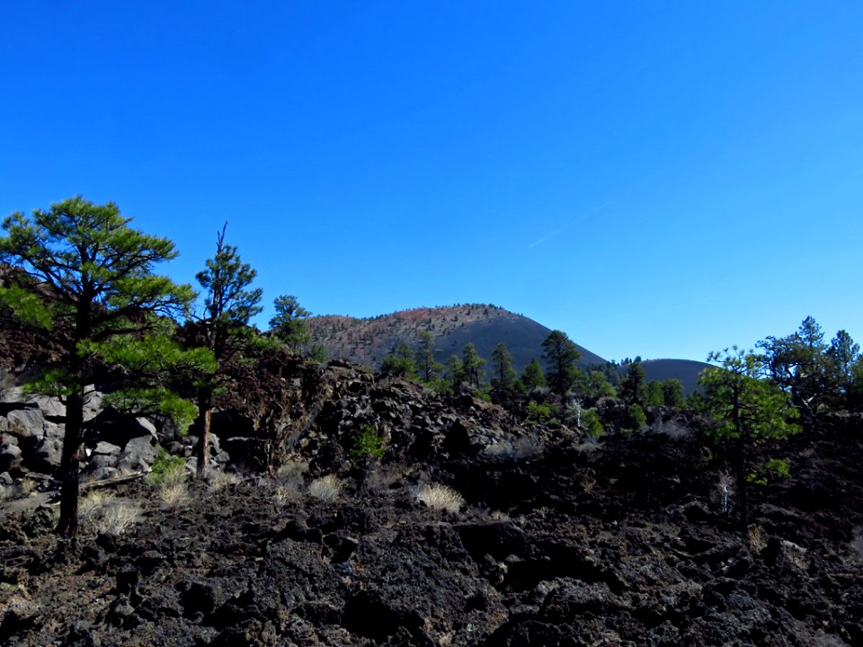 Sunset Crater Volcano NM in AZ