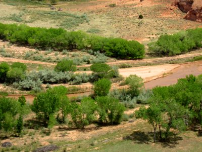 Canyon de Chelly NM in Arizona photo