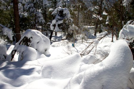 Snow Blobs