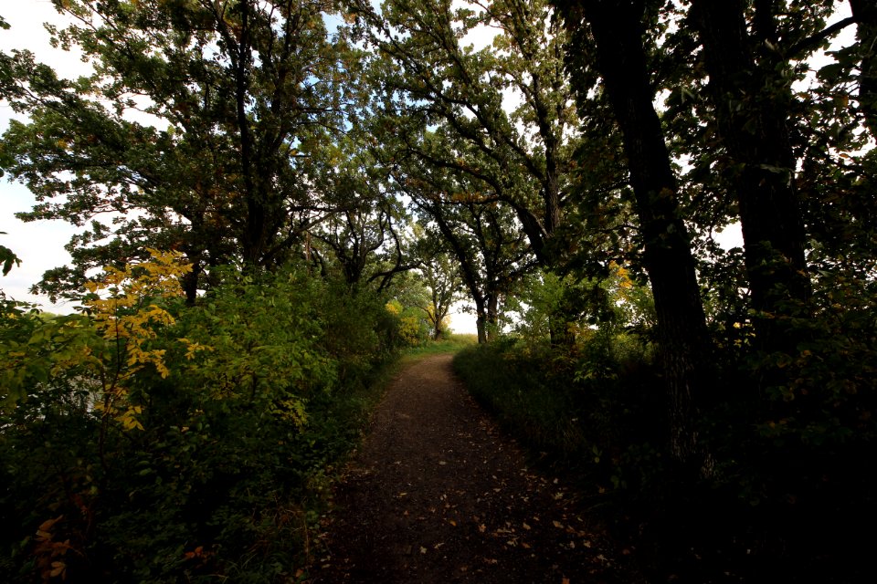 Trails at the Prairie Wetlands Learning Center
