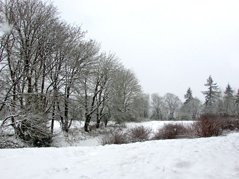 Winter in Vancouver, WA