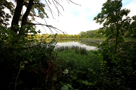 Wetland photo