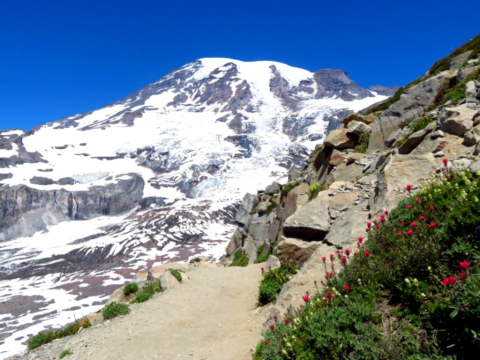 Skyline Trail at Mt. Rainier NP in WA