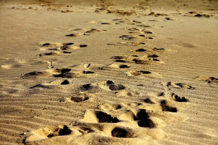 Beach foot print photo