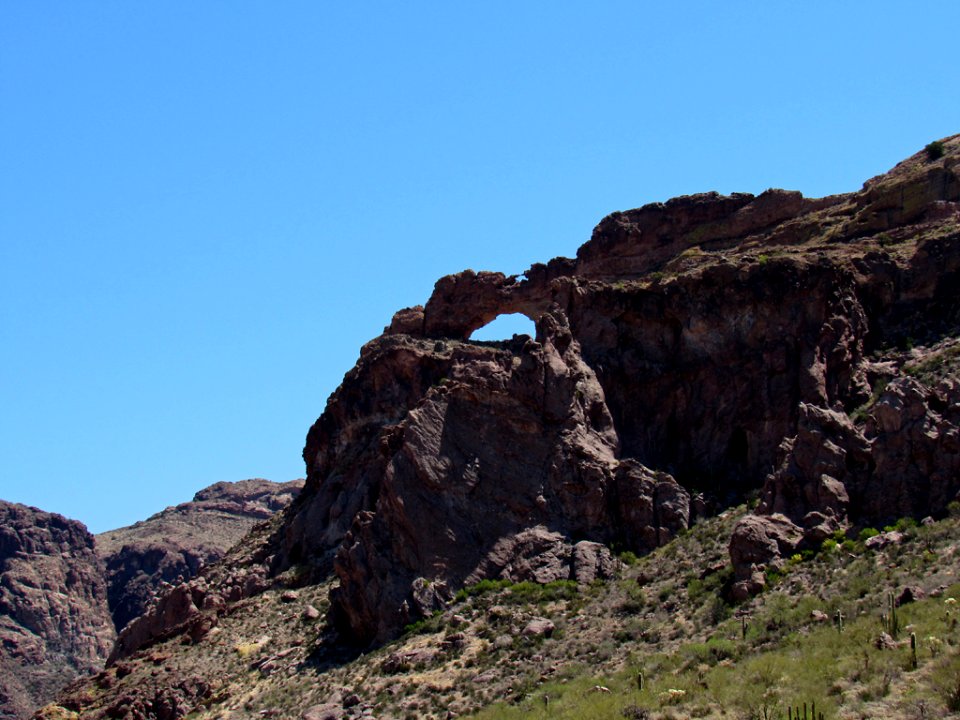 Organ Pipe Cactus NM in Arizona