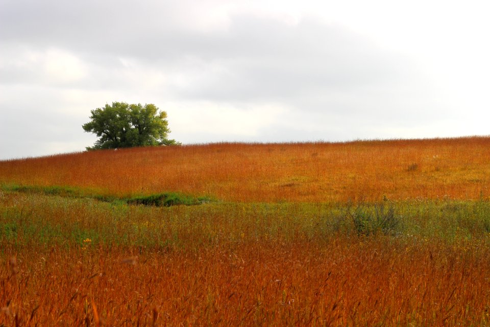 Fall on the prairie