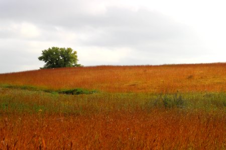Fall on the prairie