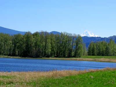 Steigerwald Lake NWR in WA