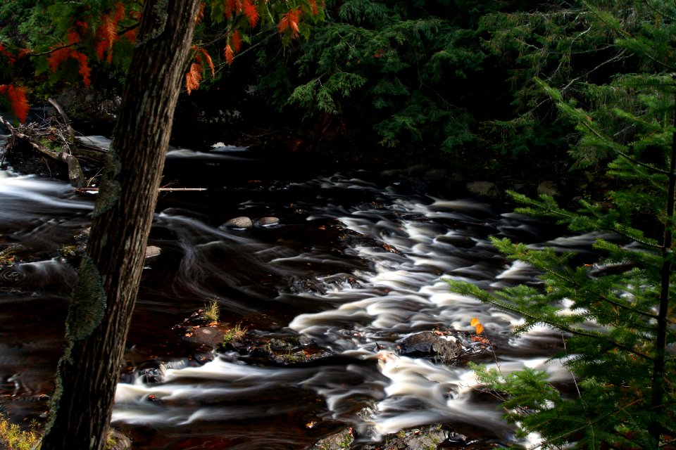 Upstream from Brownstone Falls on the Bad River in Copper Falls State Park. Wisconsin.