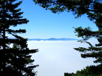 Skyline and Fog above Pacific Ocean in Oregon photo