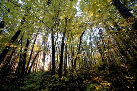 Fall Hiking