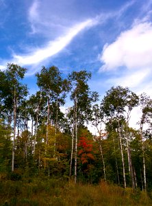 Early Fall Colors photo