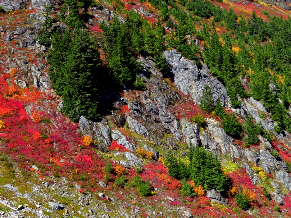Autumn at Yellow Aster Butte in WA