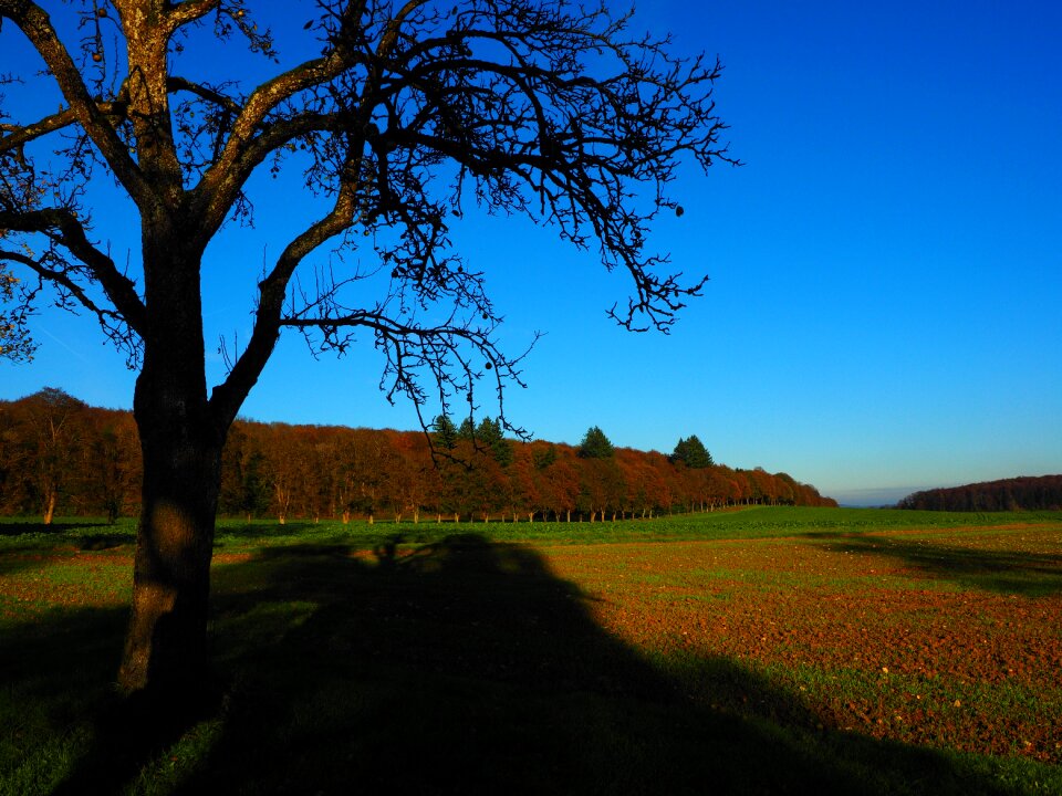 Fields mood nature