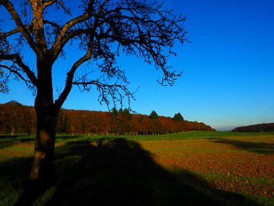 Fields mood nature