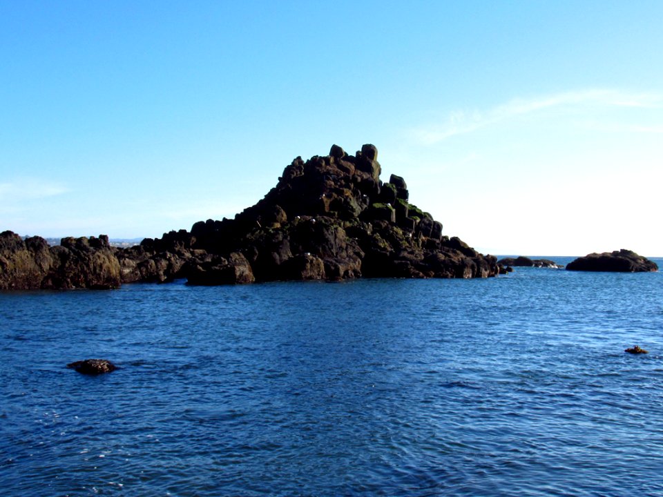 Cobble Beach at Yaquina Head in OR