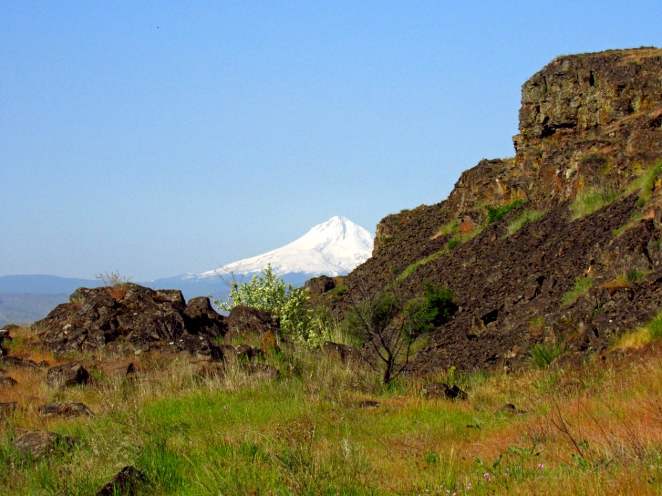 Columbia Hills Historical SP in WA